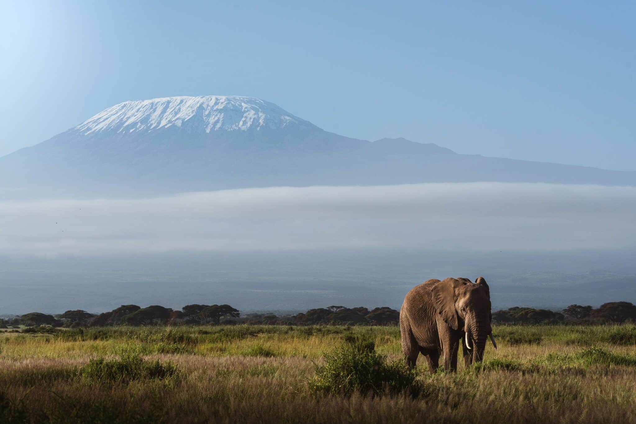 Tanzania, Kilimanjaro