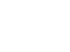 Rejse Reporter Logo
