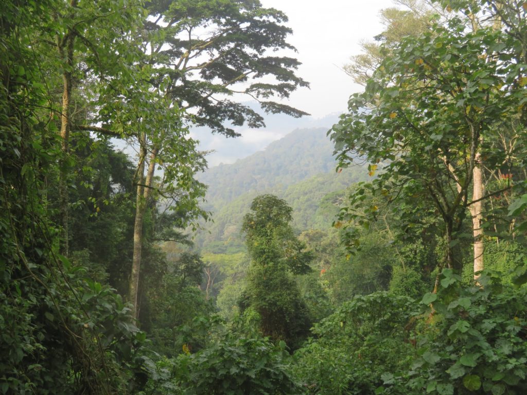Per non farsi prendere dalla pioggia: Il momento migliore per viaggiare in Uganda
