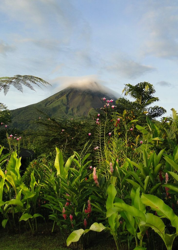 Foresta pluviale verde in Costa Rica con vulcano sullo sfondo