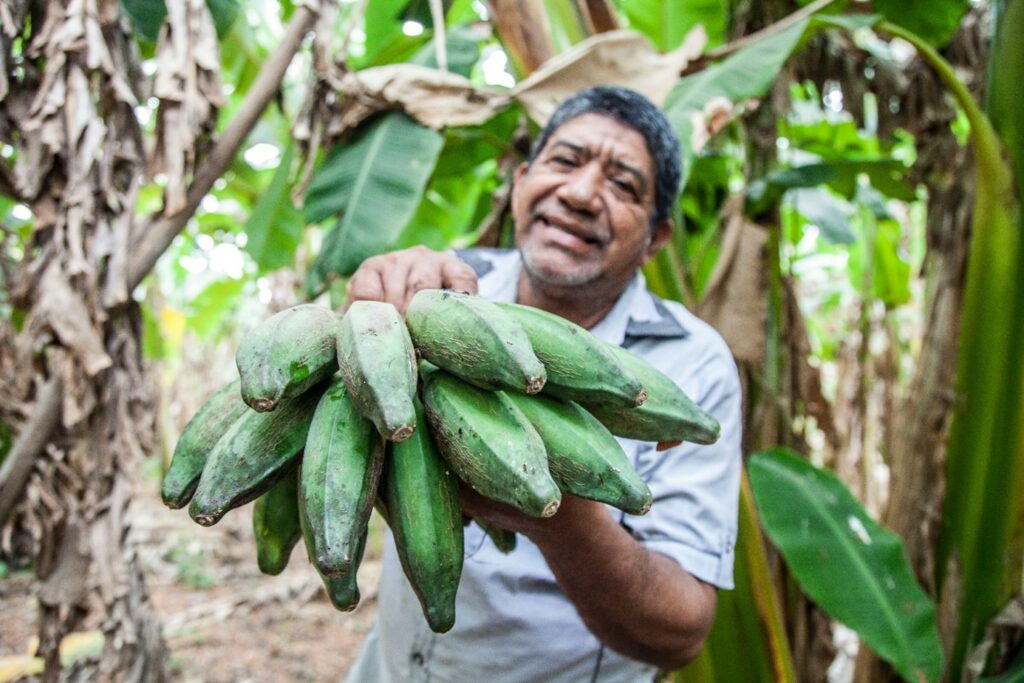 Jordbrukare i Colombia på bananplantage