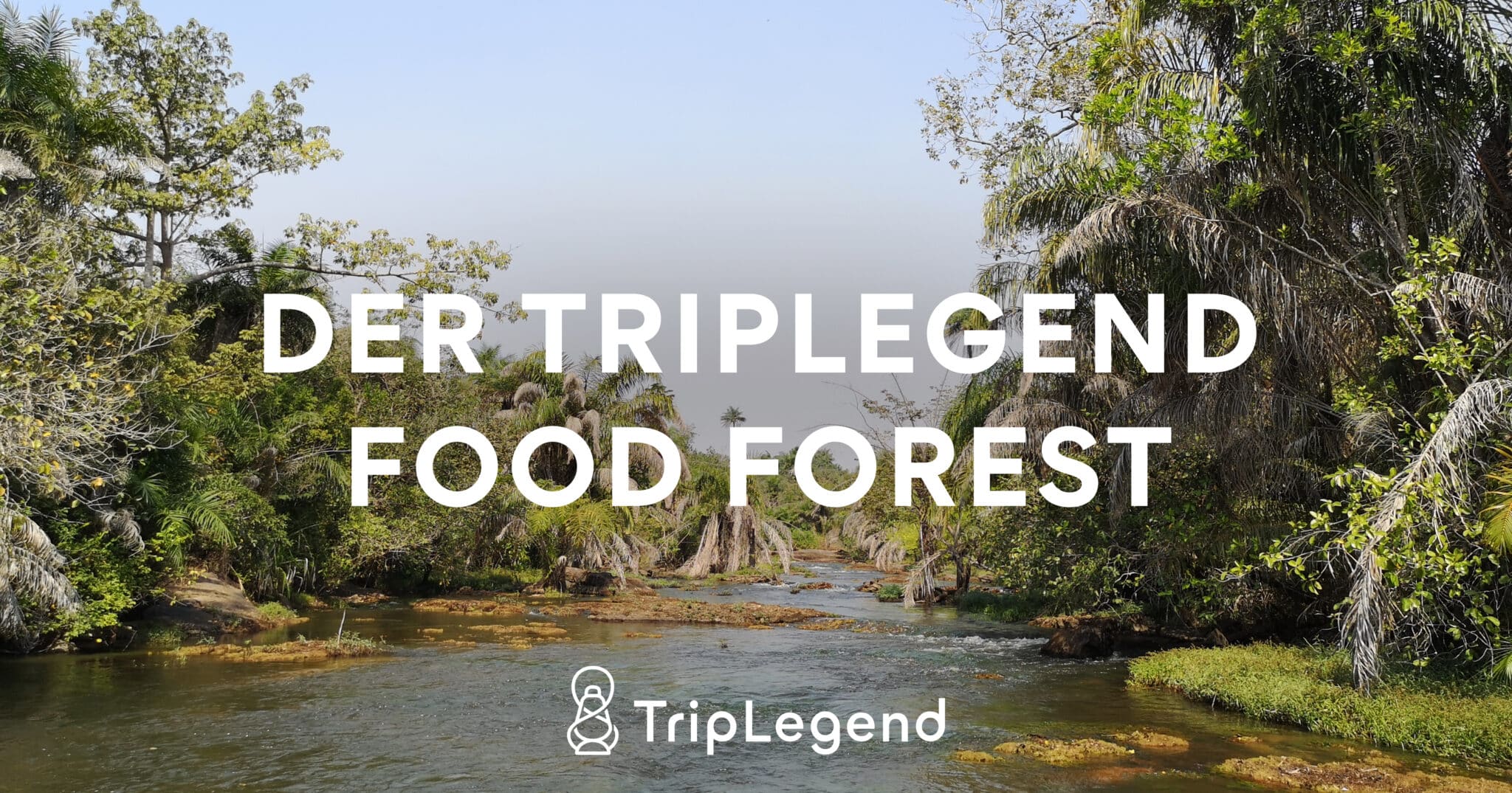 La forêt alimentaire TripLegend - Food Forest