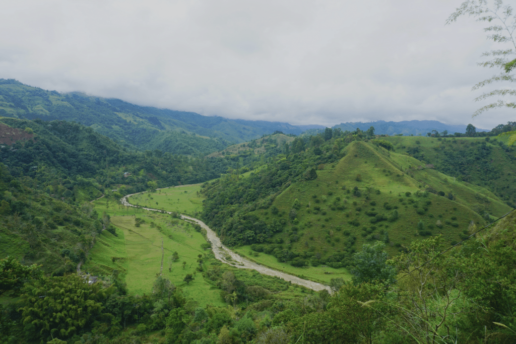 Progetti sostenibili in Colombia