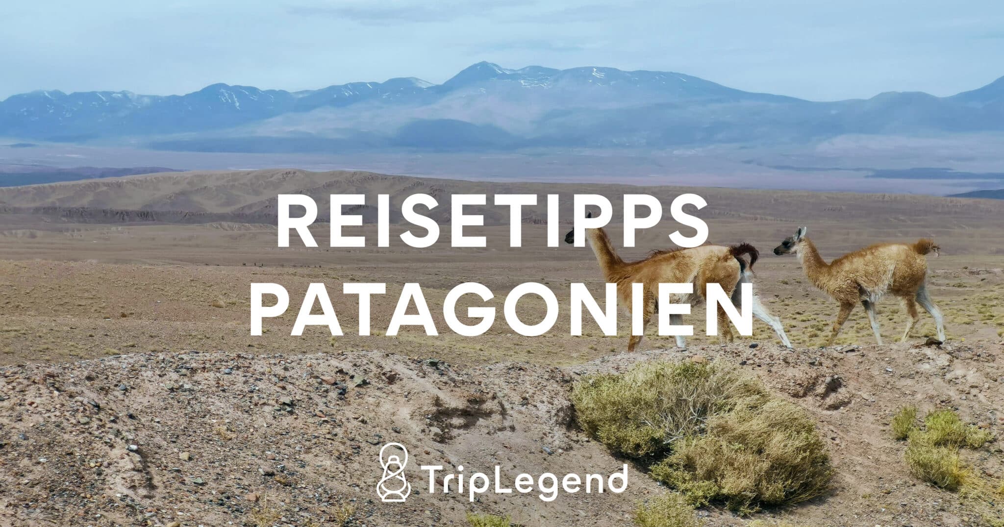 Bidragende billede til artiklen Rejsetips Patagonien